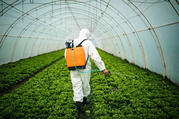 Best Residential Pest Control  in Alafaya, FL