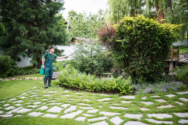 Best Local Pest Control Services  in Alafaya, FL