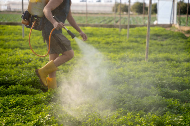 Best Commercial Pest Control Services  in Alafaya, FL