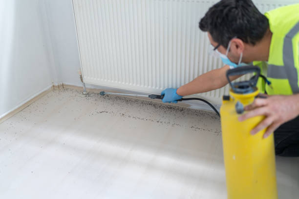 Best Mosquito Control Services  in Alafaya, FL